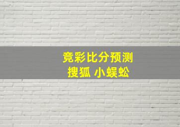 竞彩比分预测 搜狐 小蜈蚣